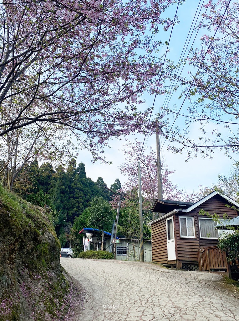 S__102187142.jpg