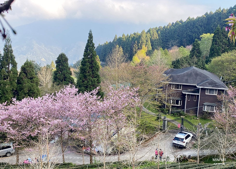 S__102187133.jpg