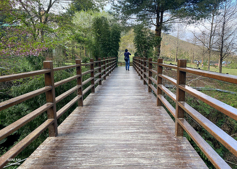 S__102187160.jpg