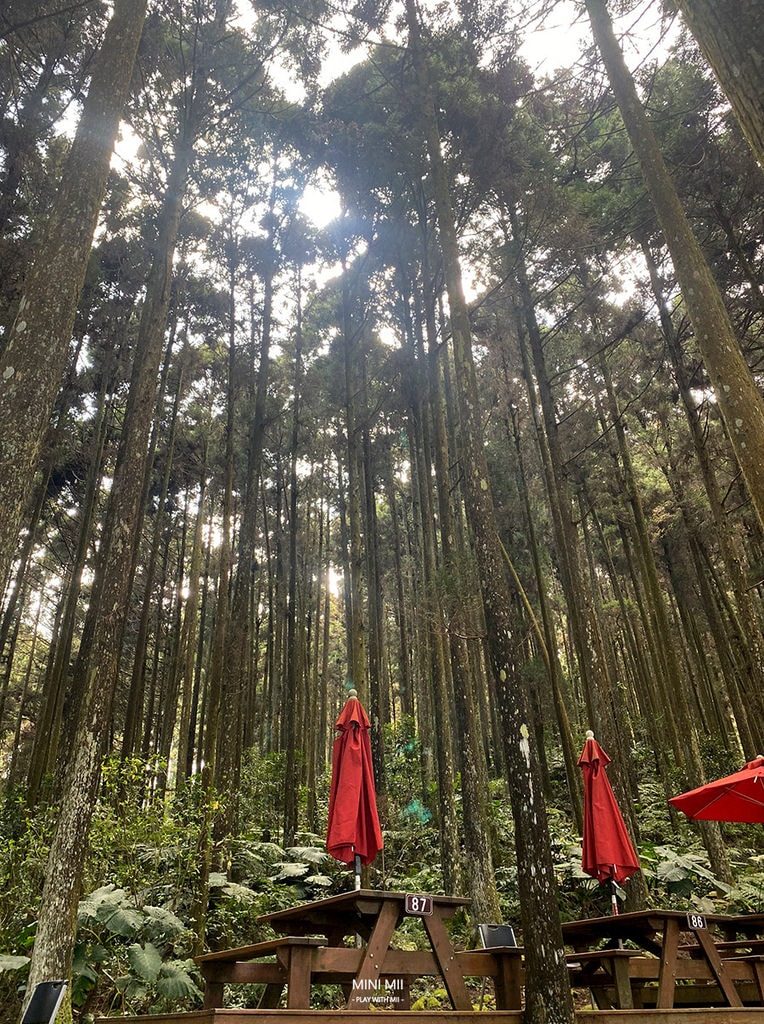 S__102187235.jpg