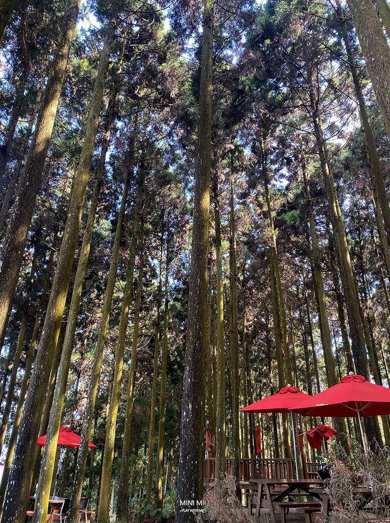 S__102187239.jpg