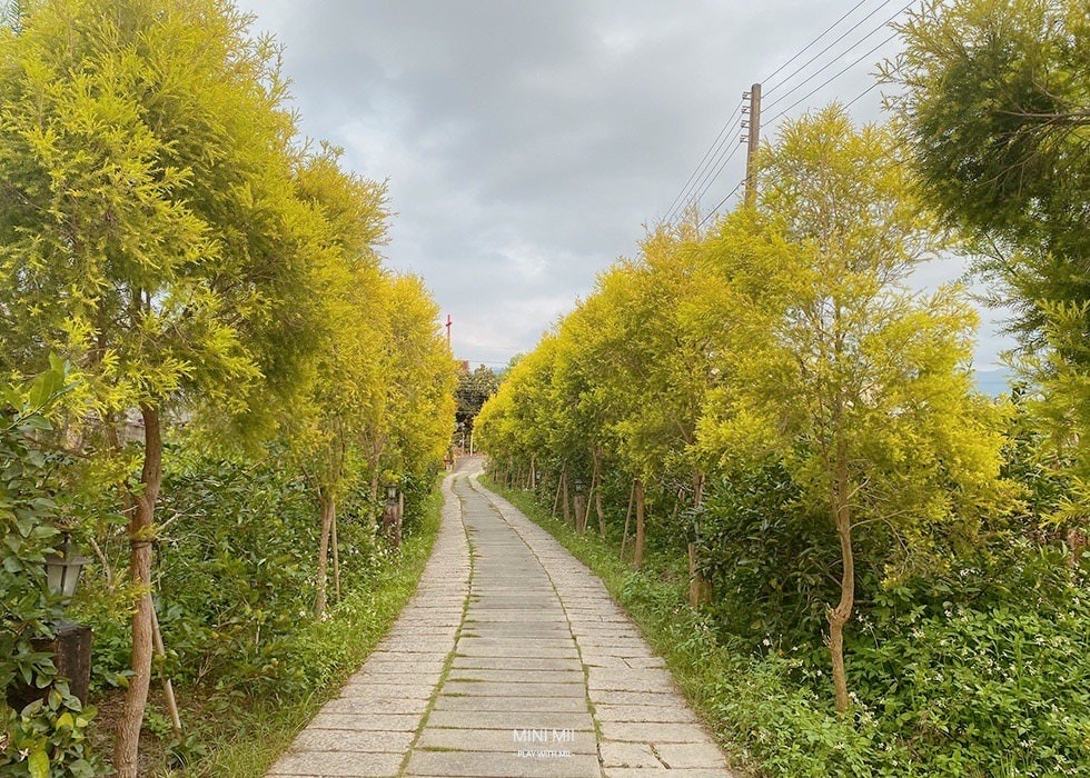 S__102801491.jpg