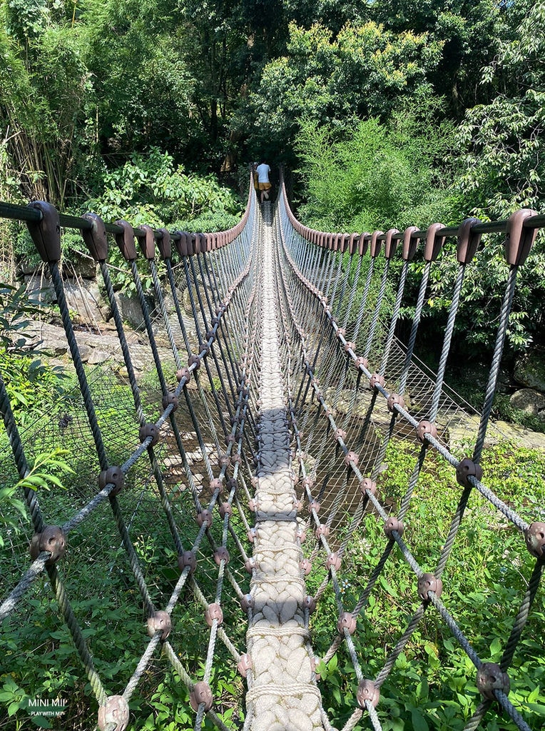 S__105062467.jpg