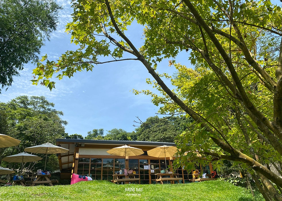 S__105062514.jpg
