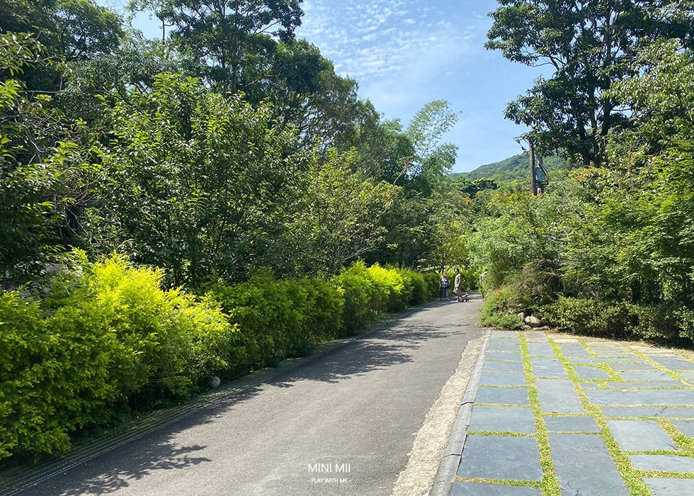 S__105062520.jpg