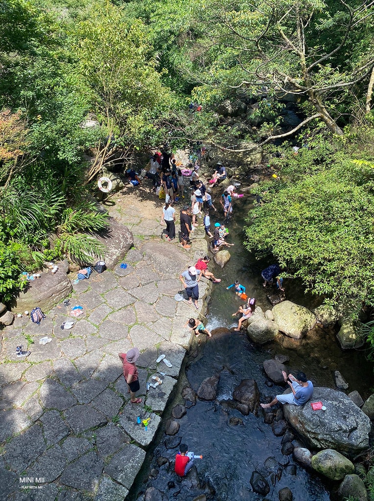 S__105062523.jpg