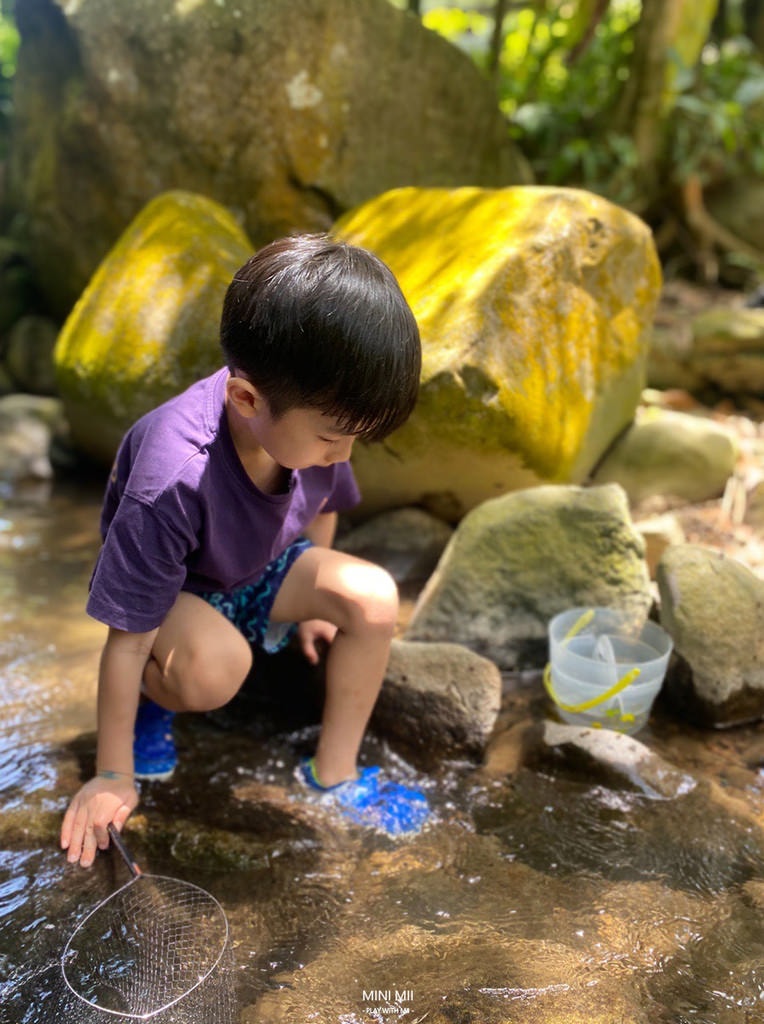 S__105062619.jpg