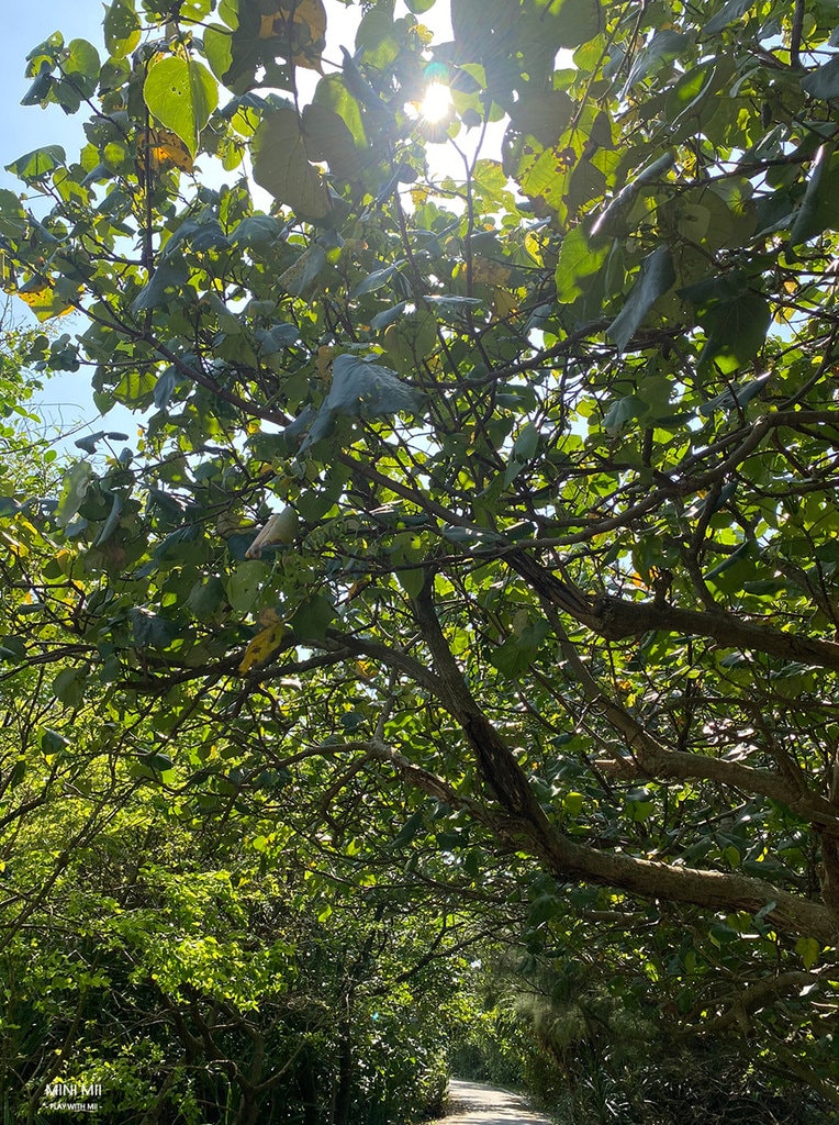 S__104554574.jpg