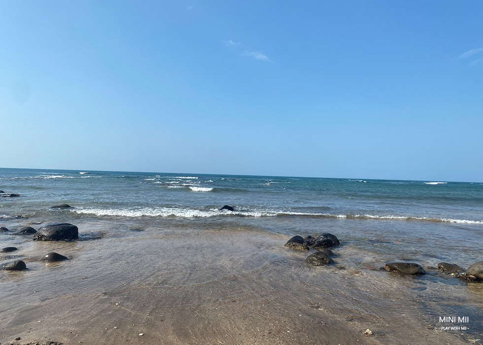 S__104554582.jpg