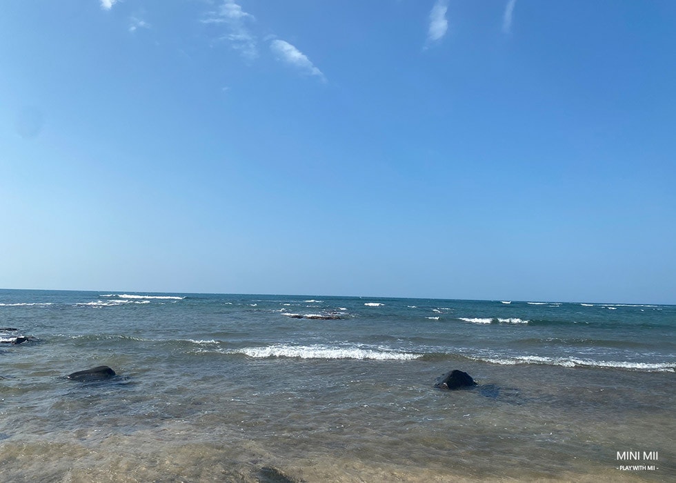 S__104554599.jpg