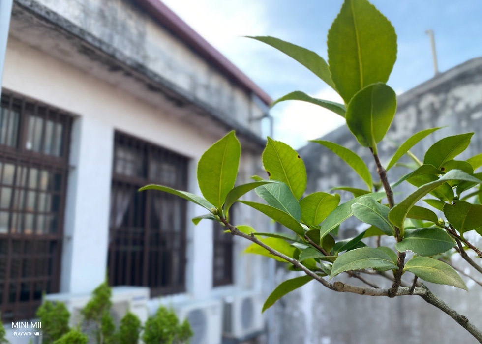 S__104931629.jpg
