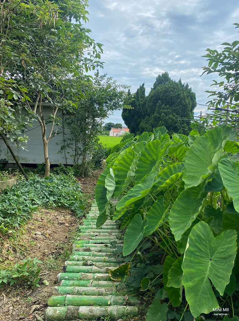 S__106061918.jpg