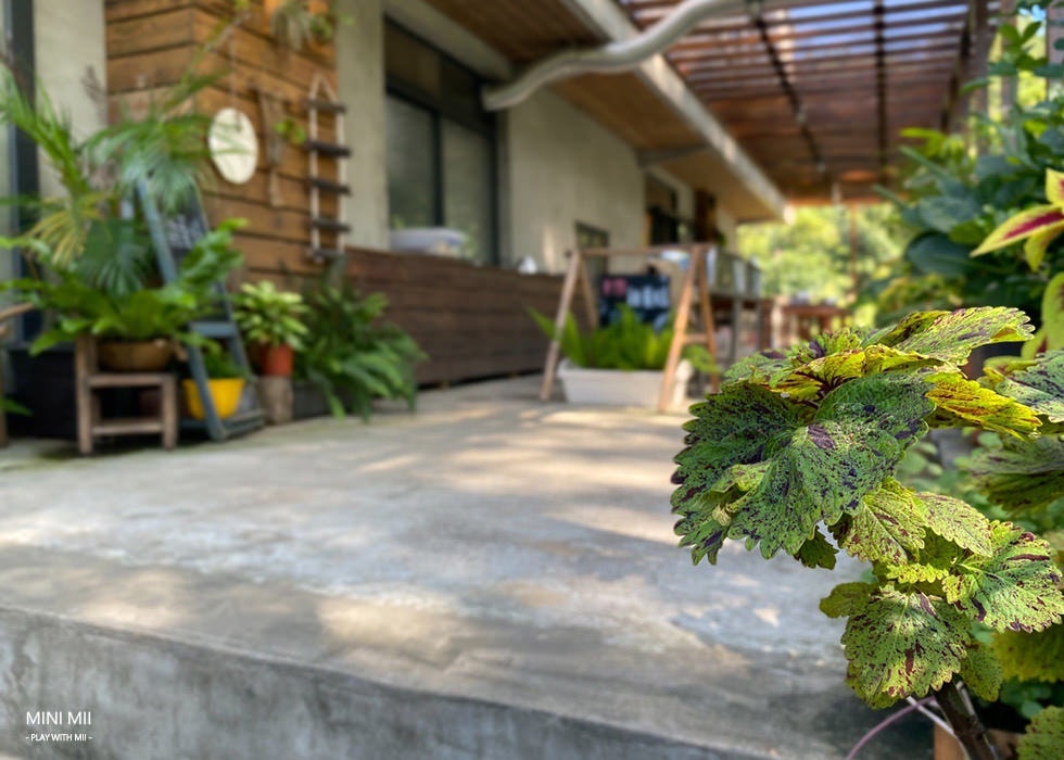 S__106987618.jpg
