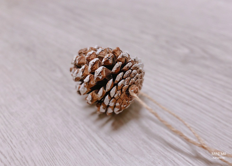 S__109453331.jpg