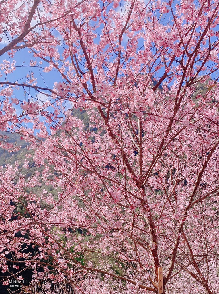 S__111304805.jpg