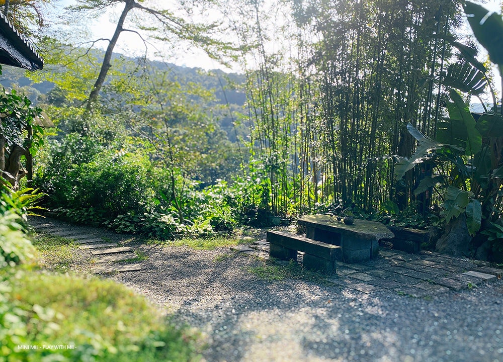 [MII‧嚐美味] 文山草堂- 幽靜山林裡的恬靜咖啡廳,感受