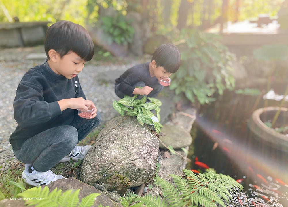 [MII‧嚐美味] 文山草堂- 幽靜山林裡的恬靜咖啡廳,感受