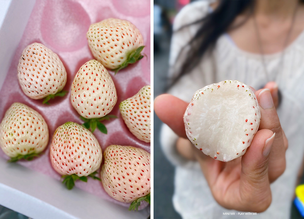 [MII‧去哪玩] 台中石見草莓園- 垂涎欲滴的草莓又大又甜