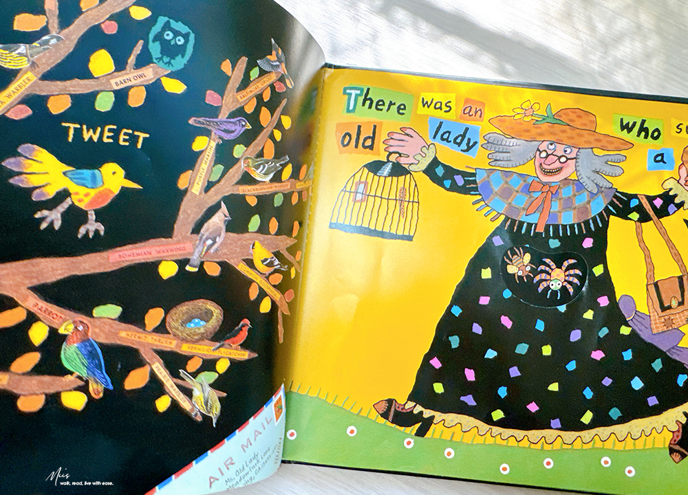 There Was an Old Lady Who Swallowed a Fly｜荒謬又有邏輯的幽默經典繪本，用誇張想像力培養語感與預測力｜凱迪克金獎大師作品