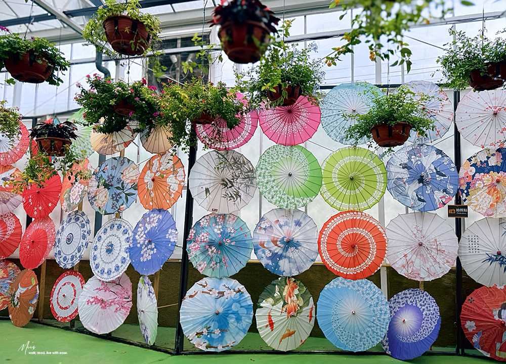 蘭陽動植物王國｜室內外混合互動式農場，80 %以上的動物都可以近距離接觸的人氣親子景點