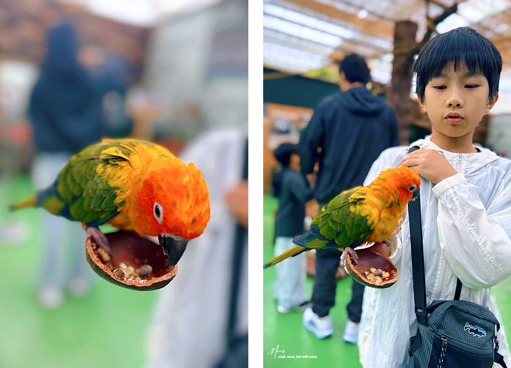 蘭陽動植物王國｜室內外混合互動式農場，80 %以上的動物都可以近距離接觸的人氣親子景點