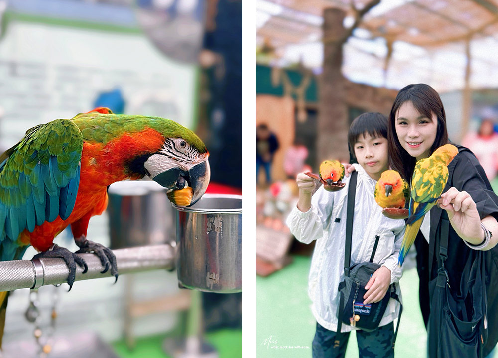 蘭陽動植物王國｜室內外混合互動式農場，80 %以上的動物都可以近距離接觸的人氣親子景點
