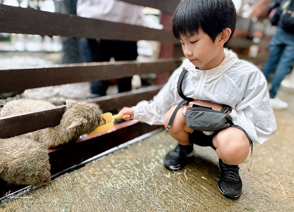 蘭陽動植物王國｜室內外混合互動式農場，80 %以上的動物都可以近距離接觸的人氣親子景點