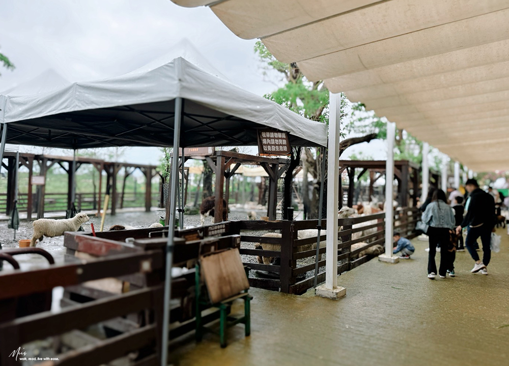 蘭陽動植物王國｜室內外混合互動式農場，80 %以上的動物都可以近距離接觸的人氣親子景點