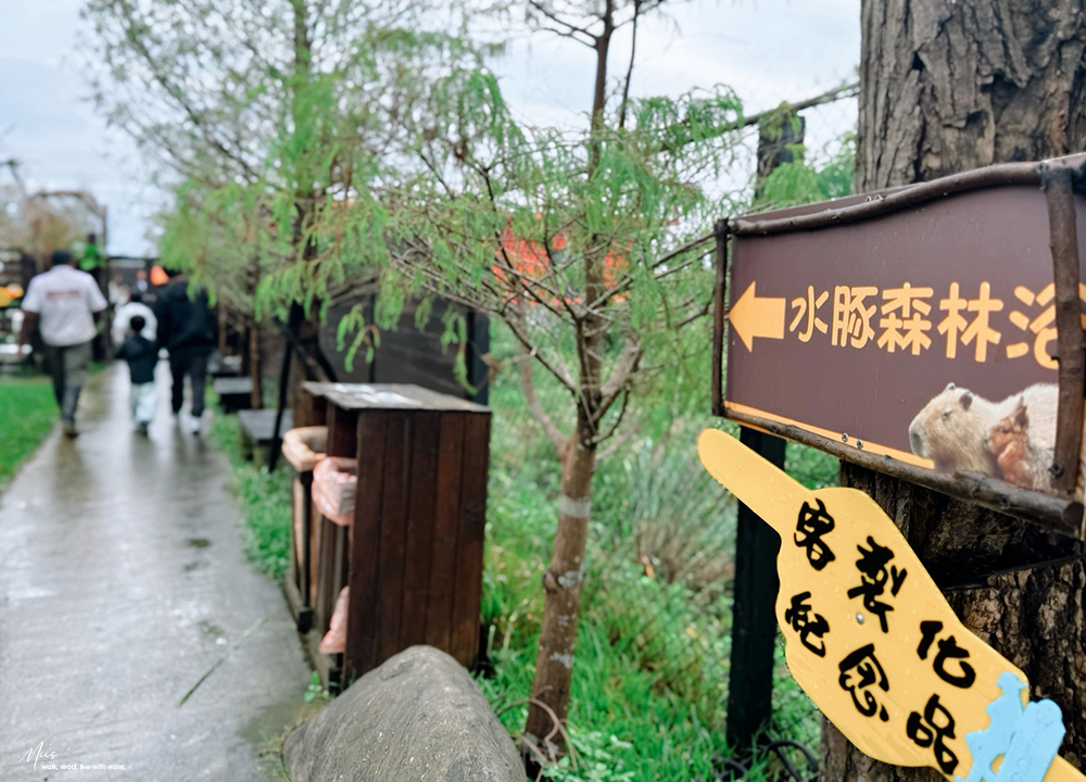 蘭陽動植物王國｜室內外混合互動式農場，80 %以上的動物都可以近距離接觸的人氣親子景點