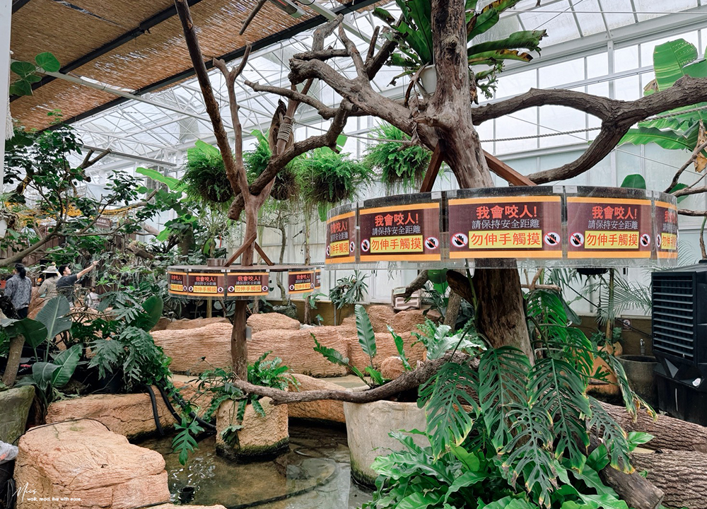 蘭陽動植物王國｜室內外混合互動式農場，80 %以上的動物都可以近距離接觸的人氣親子景點