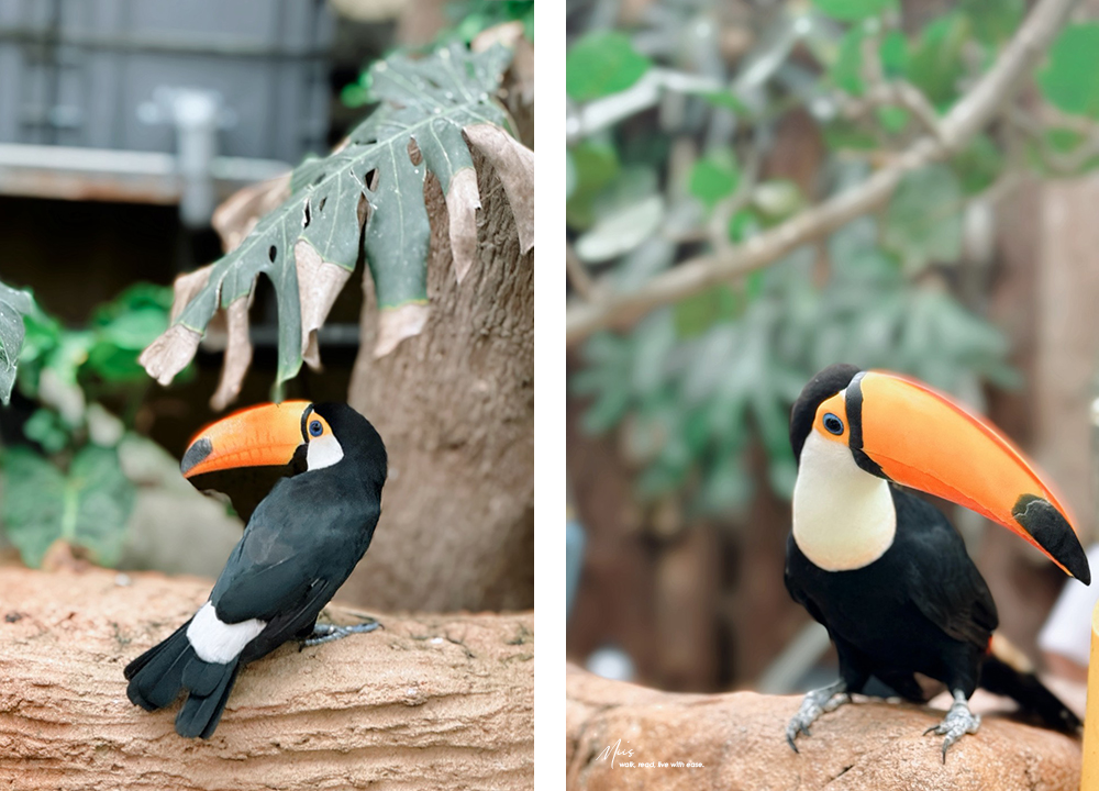 蘭陽動植物王國｜室內外混合互動式農場，80 %以上的動物都可以近距離接觸的人氣親子景點