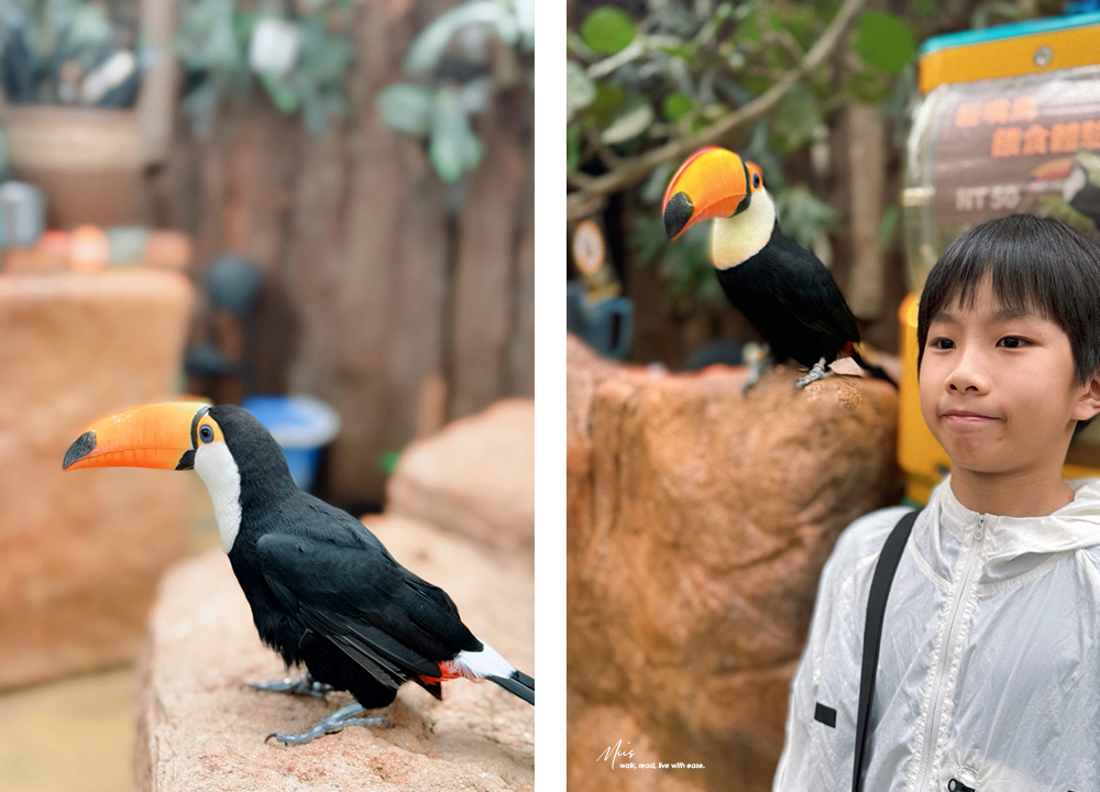 蘭陽動植物王國｜室內外混合互動式農場，80 %以上的動物都可以近距離接觸的人氣親子景點