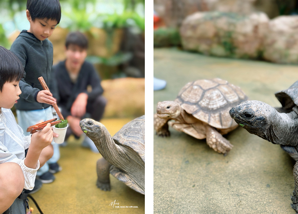 蘭陽動植物王國｜室內外混合互動式農場，80 %以上的動物都可以近距離接觸的人氣親子景點