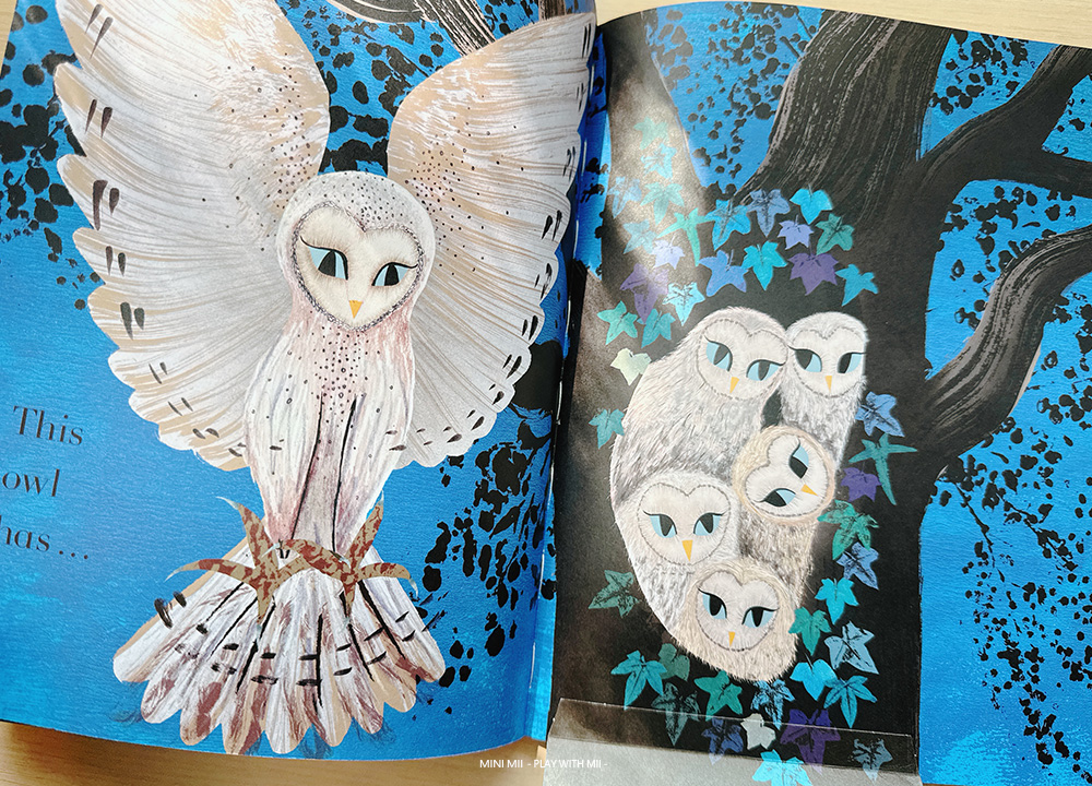 兒童英文啟蒙書單|2025 年度回顧一|感官互動與 STEAM 科普,18 本從自然觀察讀到冬日聖誕,啟發無限好奇心! - 第6張圖 兒童英文啟蒙書單|2025 年度回顧一|感官互動與 STEAM 科普,18 本從自然觀察讀到冬日聖誕,啟發無限好奇心!