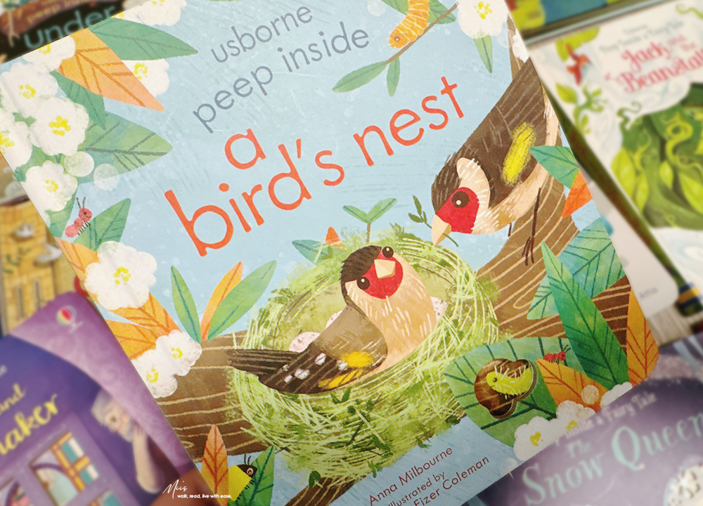 兒童英文啟蒙書單|2025 年度回顧一|感官互動與 STEAM 科普,18 本從自然觀察讀到冬日聖誕,啟發無限好奇心! - 第15張圖 兒童英文啟蒙書單|2025 年度回顧一|感官互動與 STEAM 科普,18 本從自然觀察讀到冬日聖誕,啟發無限好奇心!