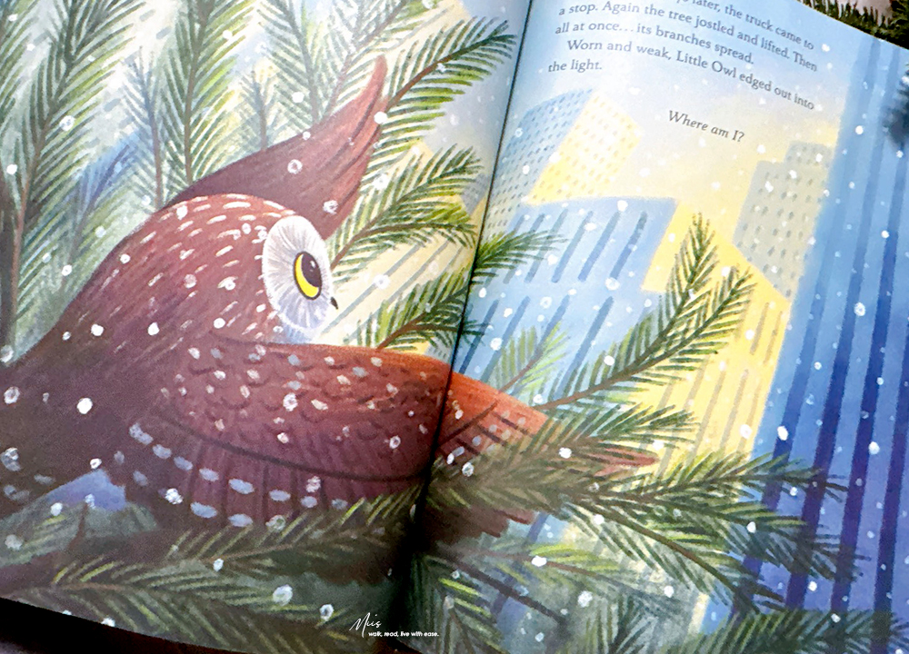 兒童英文啟蒙書單|2025 年度回顧一|感官互動與 STEAM 科普,18 本從自然觀察讀到冬日聖誕,啟發無限好奇心! - 第55張圖 兒童英文啟蒙書單|2025 年度回顧一|感官互動與 STEAM 科普,18 本從自然觀察讀到冬日聖誕,啟發無限好奇心!