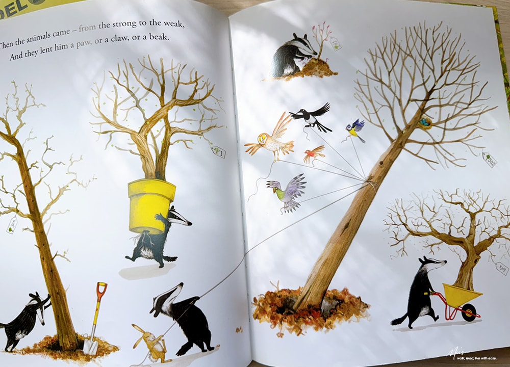 環保意識啟蒙推薦∣Tidy∣ 當愛乾淨變成強迫症?愛上大自然亂中有序的生命力 - 第11張圖 環保意識啟蒙推薦∣Tidy∣ 當愛乾淨變成強迫症?愛上大自然亂中有序的生命力