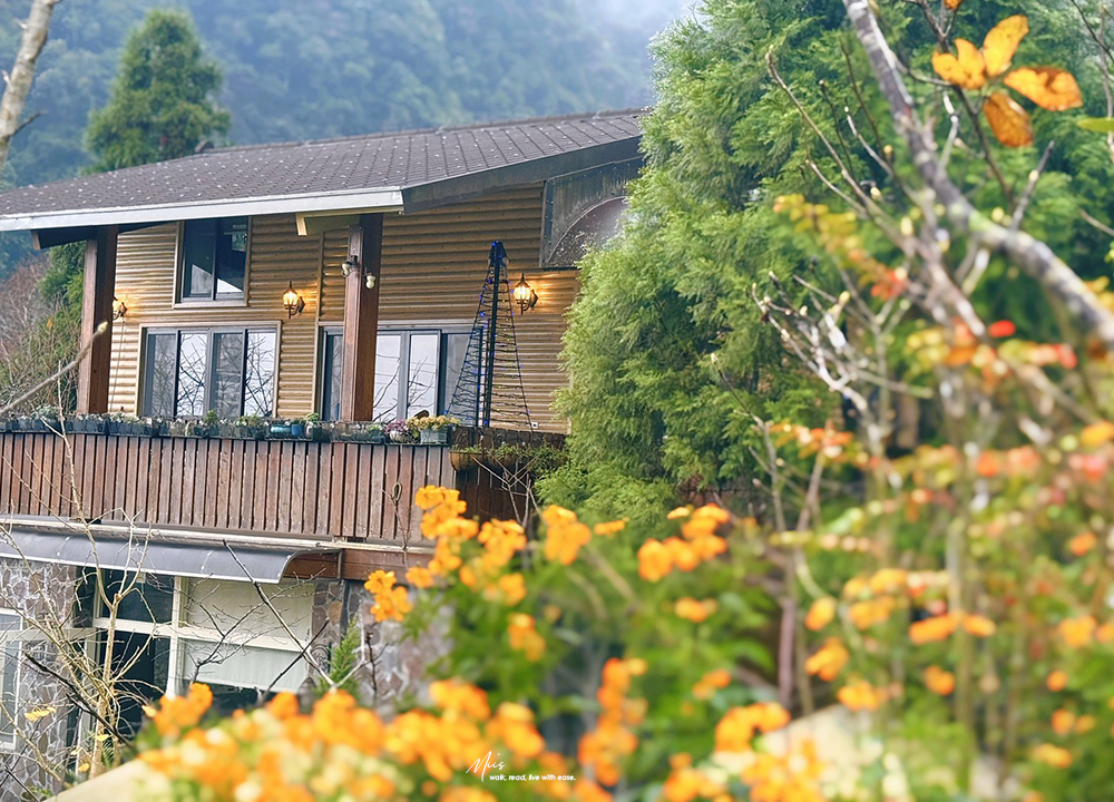 新竹五峰・巴奈築夢園｜告別昆蟲侵擾、木屋、獨享屋，與楓葉共舞的森林聚會（木屋住宿/露營）