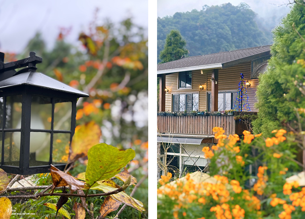 新竹五峰・巴奈築夢園｜告別昆蟲侵擾、木屋、獨享屋，與楓葉共舞的森林聚會（木屋住宿/露營）