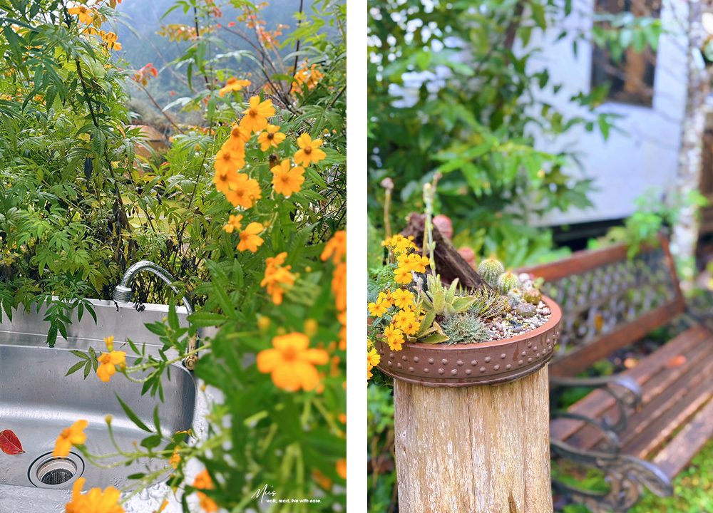 新竹五峰・巴奈築夢園｜告別昆蟲侵擾、木屋、獨享屋，與楓葉共舞的森林聚會（木屋住宿/露營）