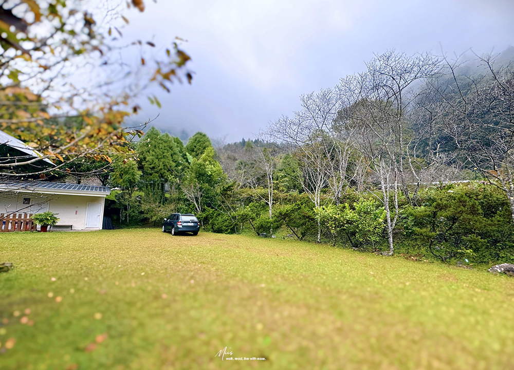 新竹五峰・巴奈築夢園｜告別昆蟲侵擾、木屋、獨享屋，與楓葉共舞的森林聚會（木屋住宿/露營）