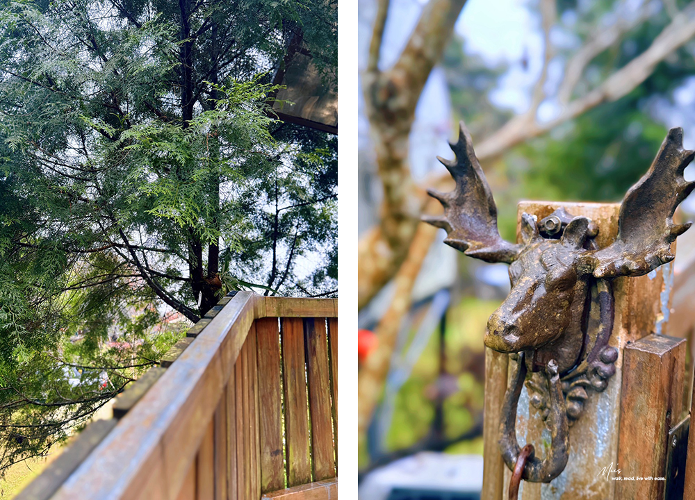 新竹五峰・巴奈築夢園｜告別昆蟲侵擾、木屋、獨享屋，與楓葉共舞的森林聚會（木屋住宿/露營）