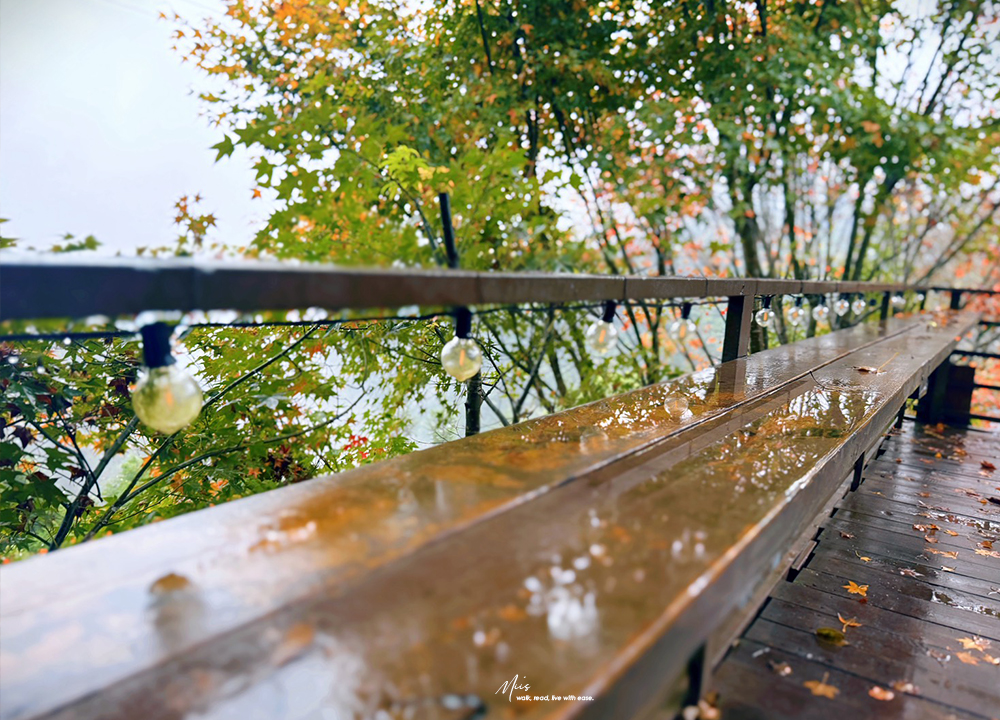 新竹五峰・巴奈築夢園｜告別昆蟲侵擾、木屋、獨享屋，與楓葉共舞的森林聚會（木屋住宿/露營）