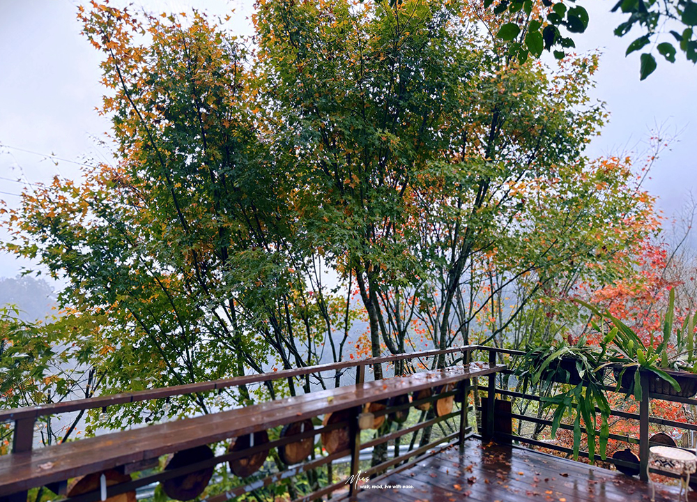 新竹五峰・巴奈築夢園｜告別昆蟲侵擾、木屋、獨享屋，與楓葉共舞的森林聚會（木屋住宿/露營）