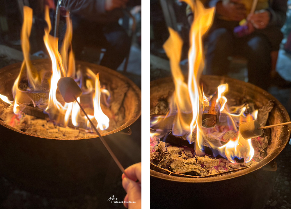 新竹五峰・巴奈築夢園｜告別昆蟲侵擾、木屋、獨享屋，與楓葉共舞的森林聚會（木屋住宿/露營）