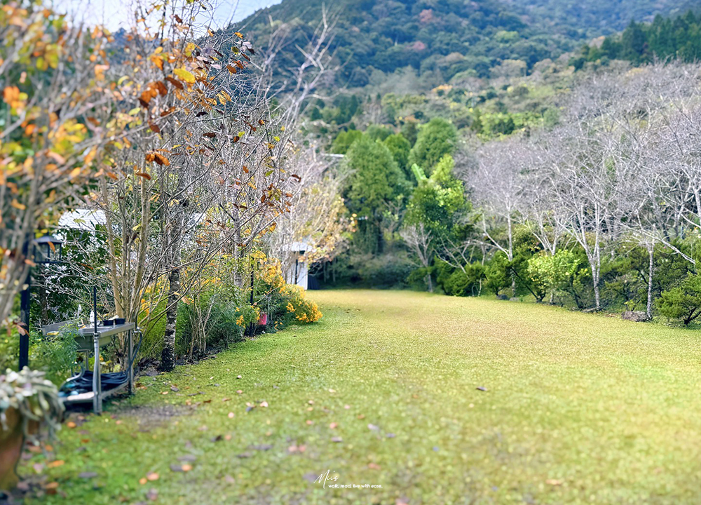 新竹五峰・巴奈築夢園｜告別昆蟲侵擾、木屋、獨享屋，與楓葉共舞的森林聚會（木屋住宿/露營）