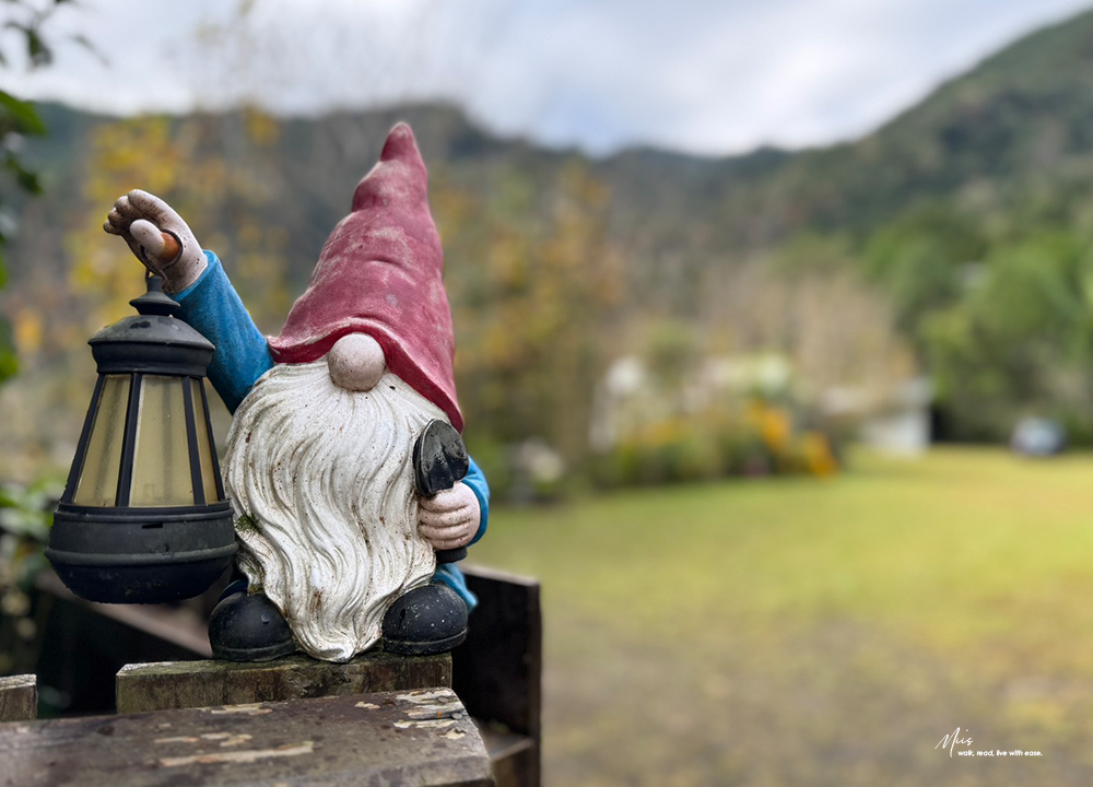 新竹五峰・巴奈築夢園｜告別昆蟲侵擾、木屋、獨享屋，與楓葉共舞的森林聚會（木屋住宿/露營）