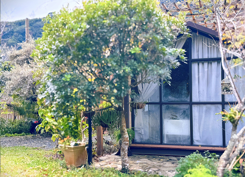 新竹五峰・巴奈築夢園｜告別昆蟲侵擾、木屋、獨享屋，與楓葉共舞的森林聚會（木屋住宿/露營）