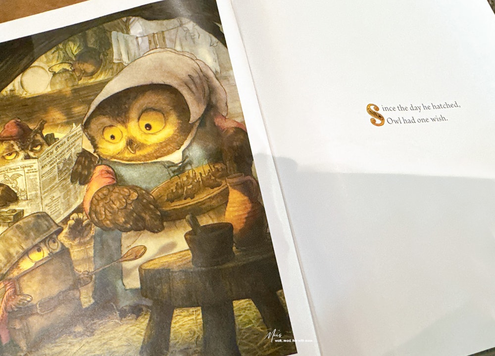 凱迪克榮譽獎繪本|Knight Owl|身材小也沒問題,力量不是唯一答案,腦袋裡的東西才是關鍵(中古世紀騎士風格) - 第1張圖 凱迪克榮譽獎繪本|Knight Owl|身材小也沒問題,力量不是唯一答案,腦袋裡的東西才是關鍵(中古世紀騎士風格)