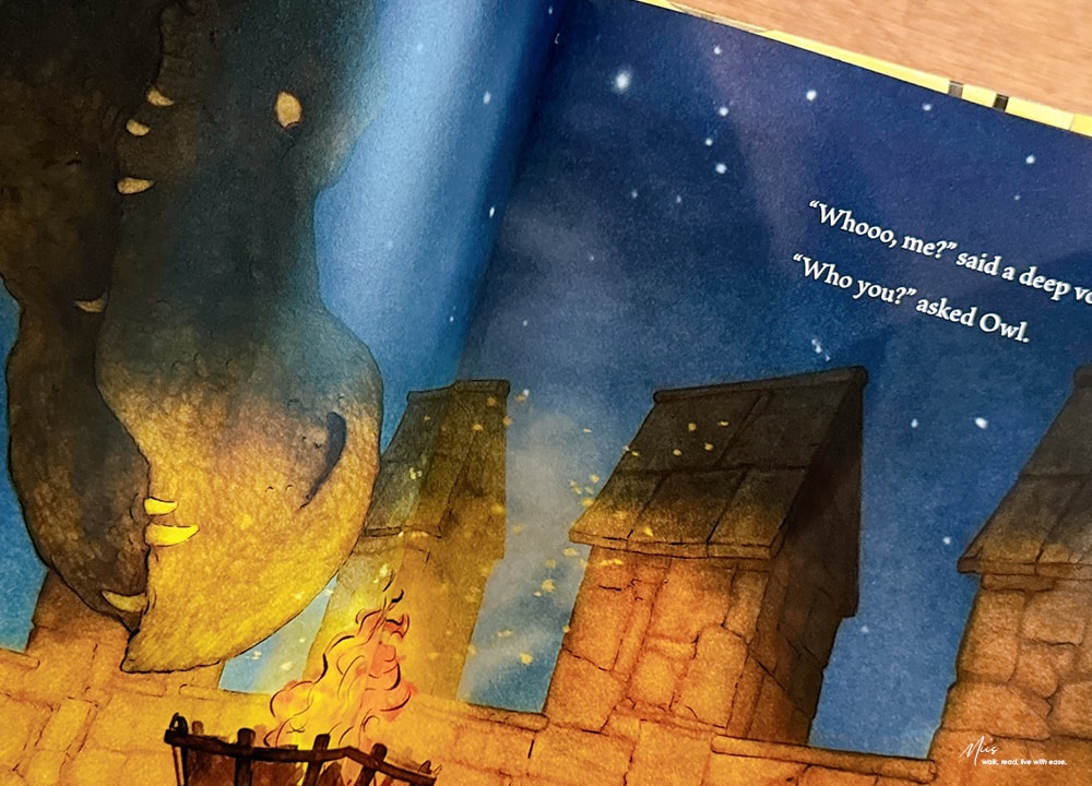 凱迪克榮譽獎繪本|Knight Owl|身材小也沒問題,力量不是唯一答案,腦袋裡的東西才是關鍵(中古世紀騎士風格) - 第7張圖 凱迪克榮譽獎繪本|Knight Owl|身材小也沒問題,力量不是唯一答案,腦袋裡的東西才是關鍵(中古世紀騎士風格)